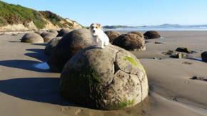  Moeraki Boulders Motel  Хампден